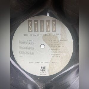 Sting Vinyl Record Bowl